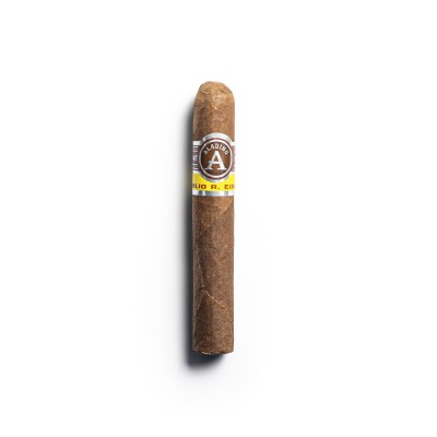 Aladino Corojo Petit Corona Cigar - 1 Single